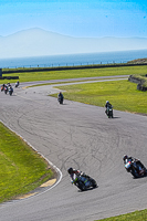 anglesey-no-limits-trackday;anglesey-photographs;anglesey-trackday-photographs;enduro-digital-images;event-digital-images;eventdigitalimages;no-limits-trackdays;peter-wileman-photography;racing-digital-images;trac-mon;trackday-digital-images;trackday-photos;ty-croes
